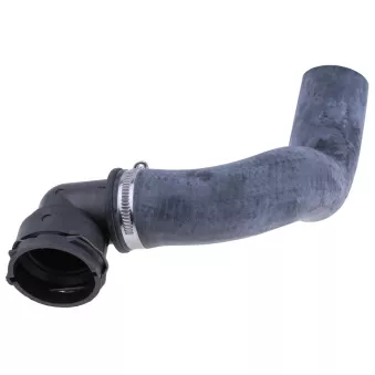 Durite de radiateur TEKNÖR CPP-DW-002