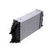 Intercooler, échangeur TEKNÖR CCL-FT-016 - Visuel 2