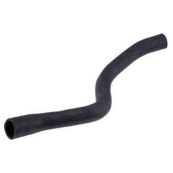 Durite de radiateur TEKNÖR CPP-PL-011