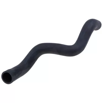 Durite de radiateur TEKNÖR CPP-PL-012