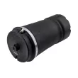 Ressort pneumatique, châssis TEKNÖR EZC-LR-075 - Visuel 1