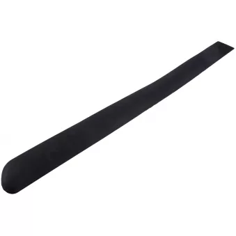 Baguette et bande protectrice, porte arrière gauche TEKNÖR EZC-PE-099