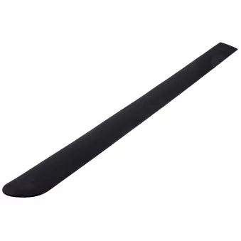 Baguette et bande protectrice, porte arrière droit TEKNÖR EZC-PE-100