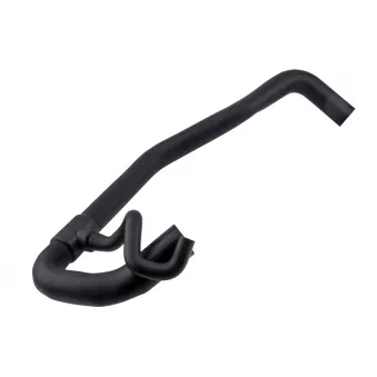 Durite de radiateur TEKNÖR GPP-CT-019