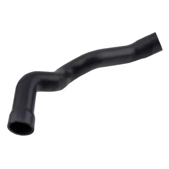 Durite de radiateur TEKNÖR GPP-ME-119