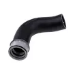 Gaine de suralimentation TEKNÖR GPP-VW-114 - Visuel 1