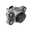 Support moteur TEKNÖR ZPS-LR-006 - Visuel 2