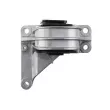 Support moteur TEKNÖR ZPS-VV-029 - Visuel 3