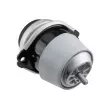 Support moteur TEKNÖR ZPS-VW-097 - Visuel 1