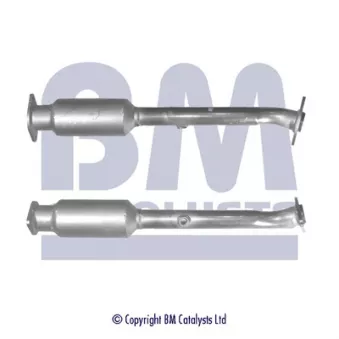 Catalyseur BM CATALYSTS BM91544