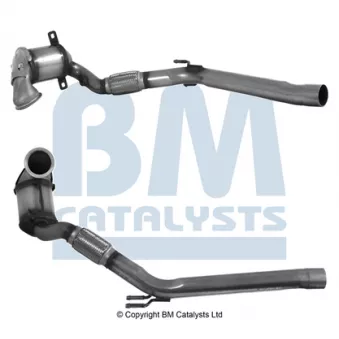 Catalyseur BM CATALYSTS BM92099H