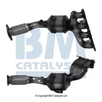 Catalyseur BM CATALYSTS BM92390H