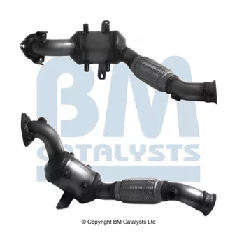 Catalyseur BM CATALYSTS BM92913H