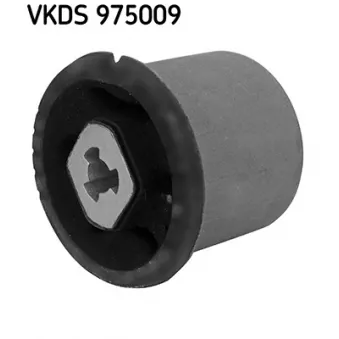 Corps d'essieu SKF VKDS 975009
