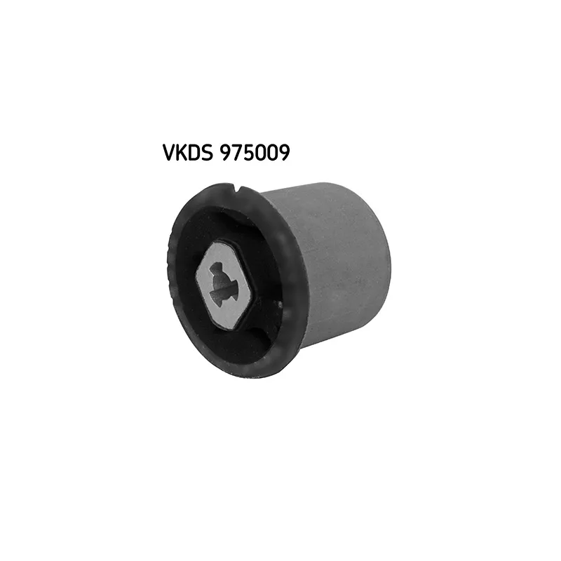 Corps d'essieu SKF VKDS 975009