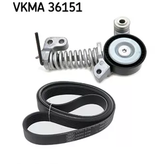 Jeu de courroies trapézoïdales à nervures SKF VKMA 36151