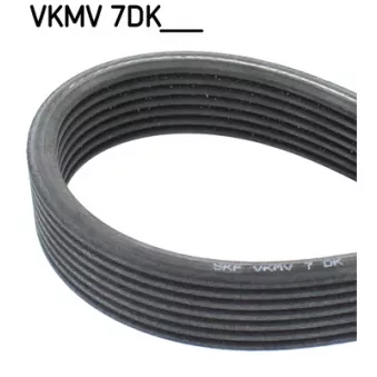 Courroie trapézoïdale à nervures SKF VKMV 7DK1884