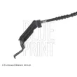 Flexible de frein avant gauche BLUE PRINT ADA105301 - Visuel 2