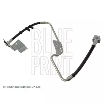 Flexible de frein BLUE PRINT