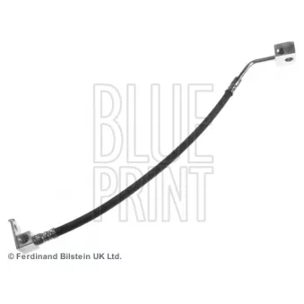 Flexible de frein BLUE PRINT