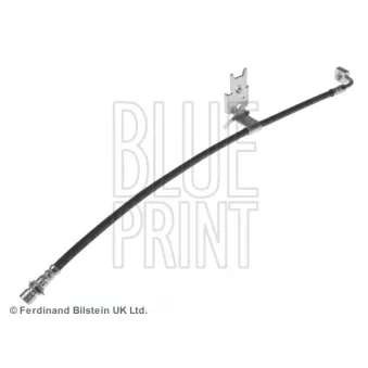 Flexible de frein avant gauche BLUE PRINT ADA105347