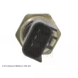Indicateur de pression d'huile BLUE PRINT ADA106605C - Visuel 3