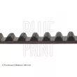 Courroie crantée BLUE PRINT ADA107502 - Visuel 2