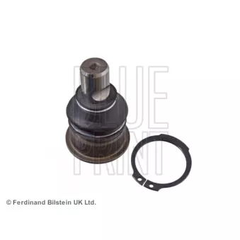 Rotule de suspension BLUE PRINT