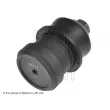 Rotule de suspension BLUE PRINT ADA108631 - Visuel 2