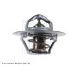 Thermostat d'eau BLUE PRINT ADA109207 - Visuel 2