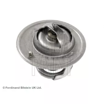 Thermostat d'eau BLUE PRINT ADA109209