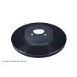 Jeu de 2 disques de frein avant BLUE PRINT ADB114318 - Visuel 1