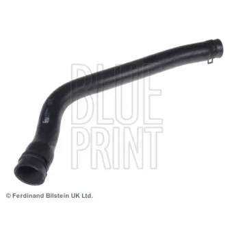 Durite de radiateur BLUE PRINT