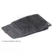 Filtre, air de l'habitacle BLUE PRINT ADBP250044 - Visuel 2