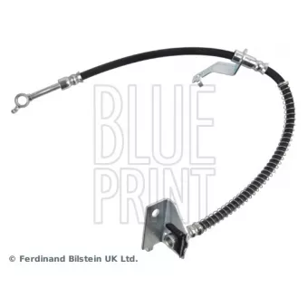 Flexible de frein avant gauche BLUE PRINT ADBP530016