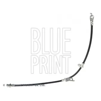 Flexible de frein avant gauche BLUE PRINT ADBP530020