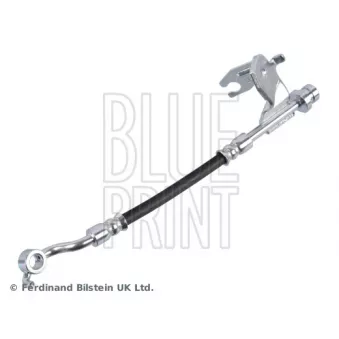 Flexible de frein arrière droit BLUE PRINT ADBP530027