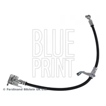 Flexible de frein avant droit BLUE PRINT