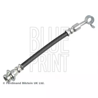 Flexible de frein arrière droit BLUE PRINT ADBP530036