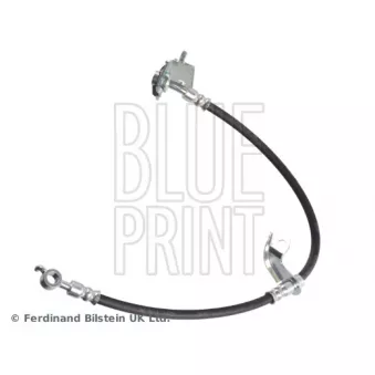 Flexible de frein avant gauche BLUE PRINT