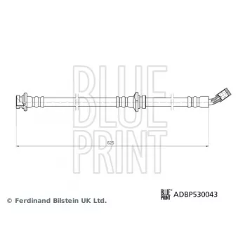 Flexible de frein avant droit BLUE PRINT ADBP530043