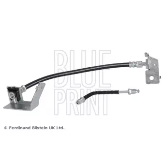 Flexible de frein arrière droit BLUE PRINT ADBP530050