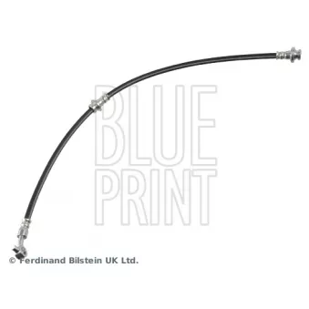 Flexible de frein avant gauche BLUE PRINT ADBP530053
