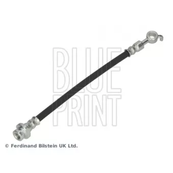 Flexible de frein arrière gauche BLUE PRINT ADBP530058