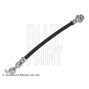 Flexible de frein arrière droit BLUE PRINT ADBP530059