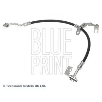 Flexible de frein avant droit BLUE PRINT