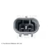Sonde lambda BLUE PRINT ADBP700094 - Visuel 2