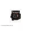 Capteur, vitesse de roue avant droit BLUE PRINT ADBP710020 - Visuel 2