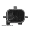 Capteur, vitesse de roue BLUE PRINT ADBP710117 - Visuel 2