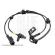 Capteur, vitesse de roue avant gauche BLUE PRINT ADBP710120 - Visuel 1